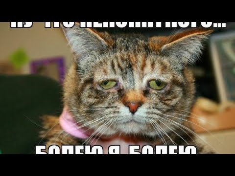 Болею картинки прикольные