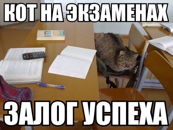 Смешные картинки про экзамены