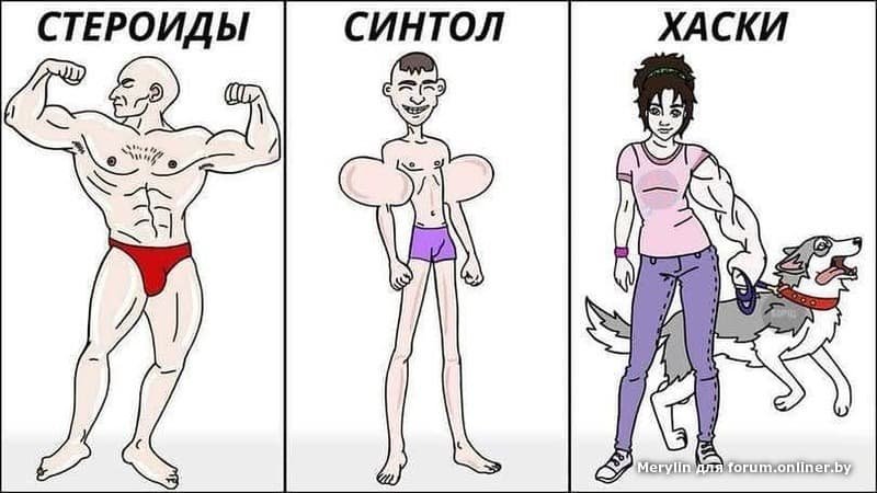 Мемы про качков