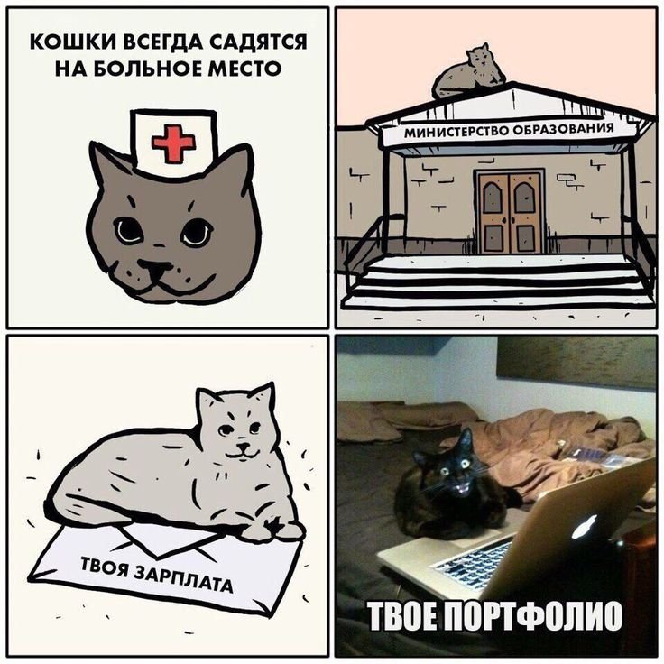 Мемы с кошками