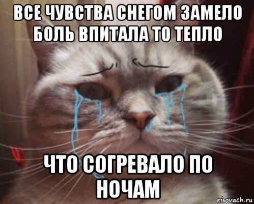 Мем с плачущим котом