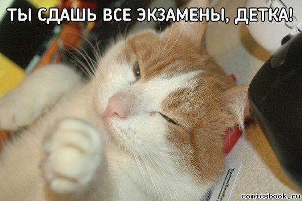 Веселые пожелания перед экзаменом