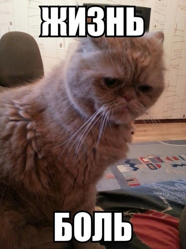 Жизнь боль