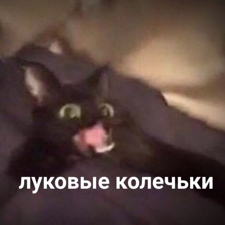 ЧИПСЕКЕ сухареке Мем с котом