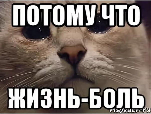 Жизнь боль Мем