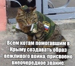 Вежливый кот Мем оригинал