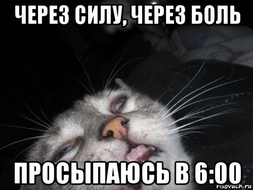 Через силу через боль я встаю