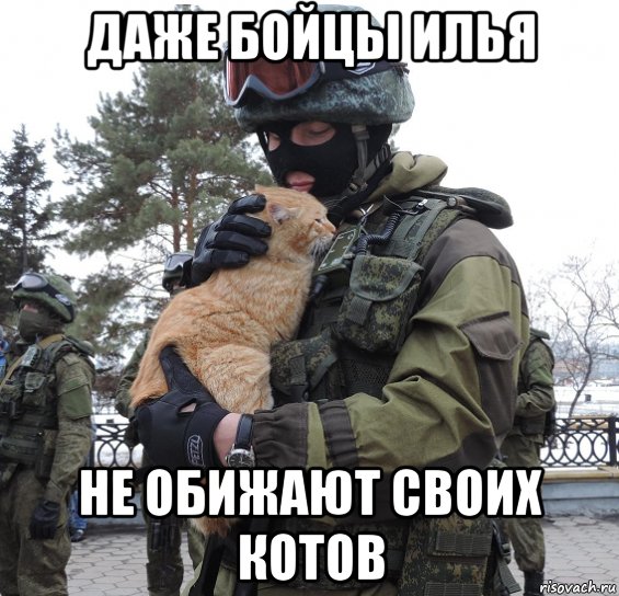 Вежливые люди с котом