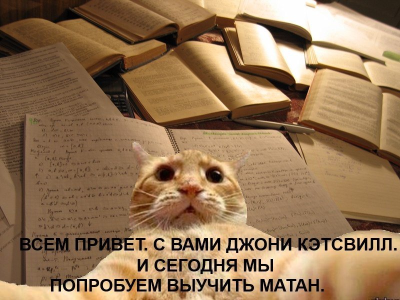 Пожелания на сессию прикольные