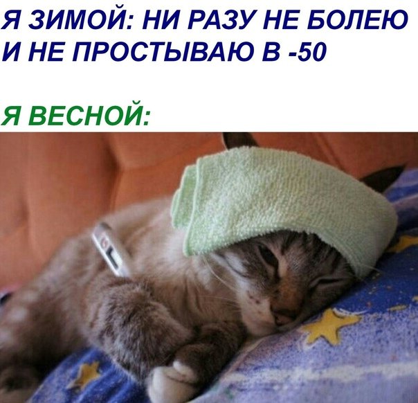 Кот болеет