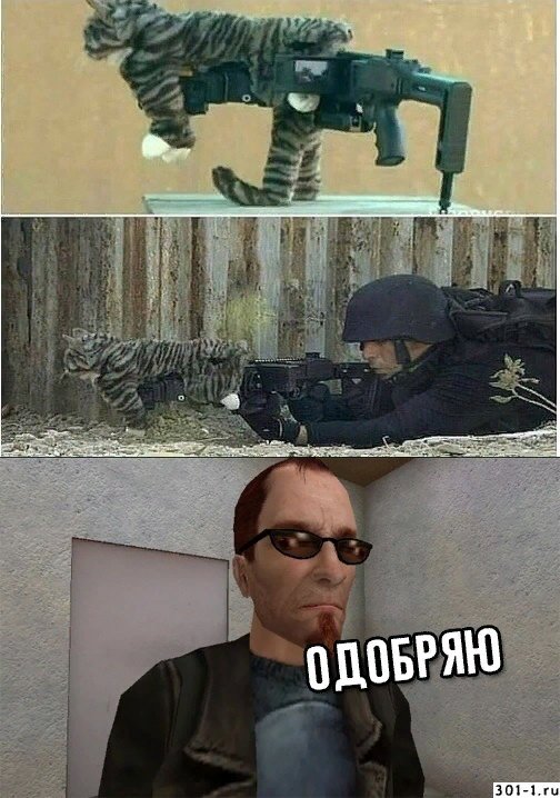 Смешные мемы про оружие