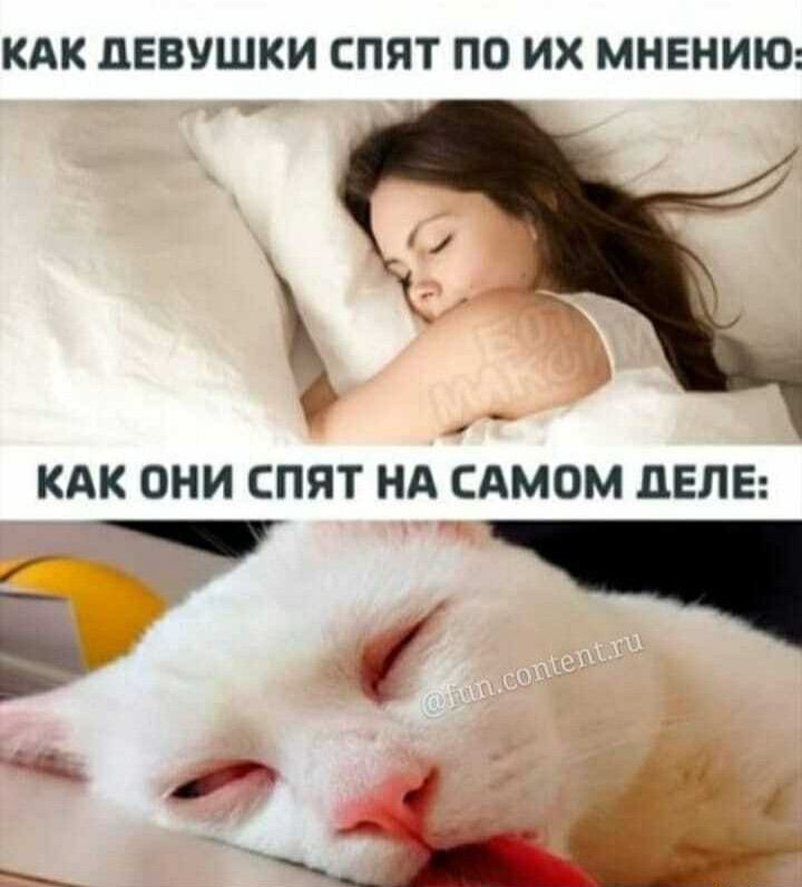 Спящая девушка с мемами