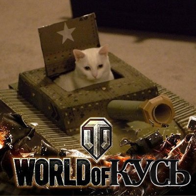 Коты танкисты