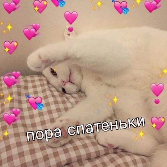 Сладких снов котик с сердечками