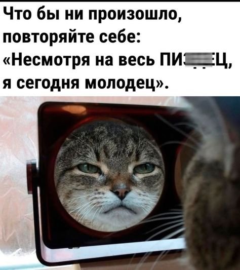 Зеркало «котик»