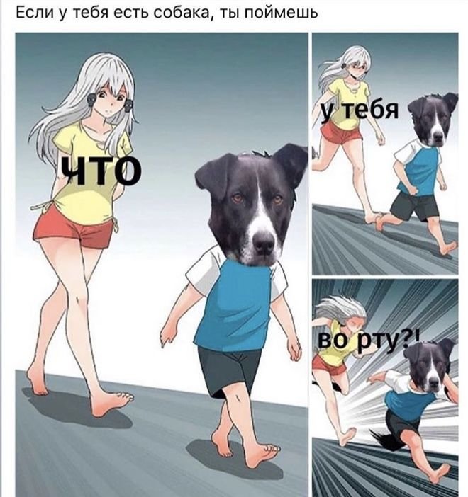 Что у тебя во рту Мем с собакой
