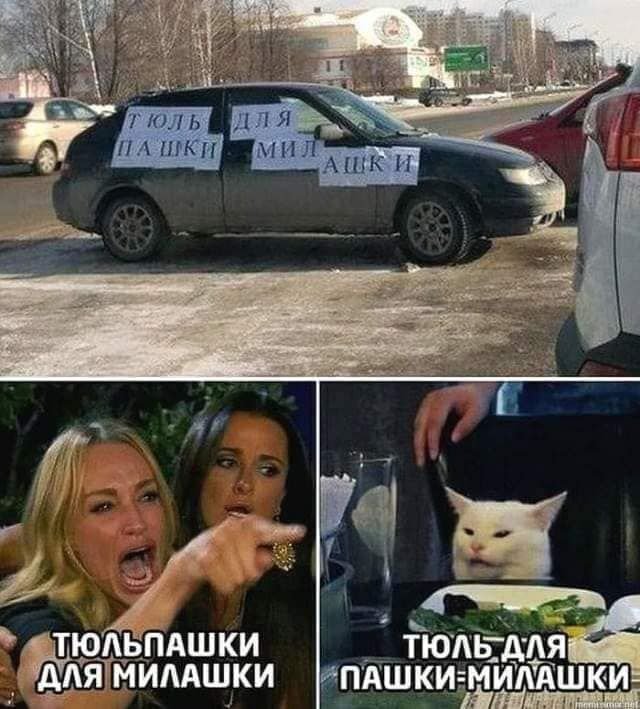 Мемы с двумя девушками и котом