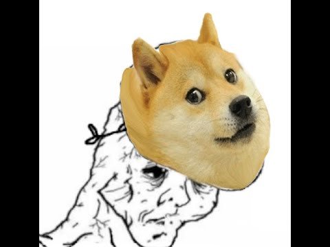 Мемы с собаками