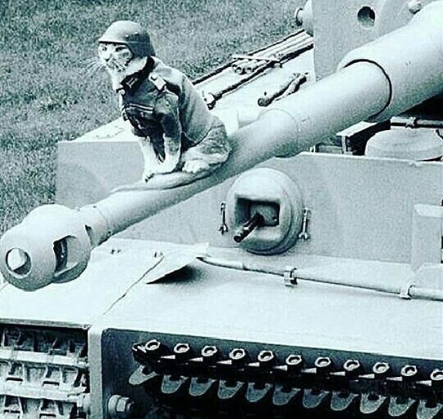 Смешной немецкий танк