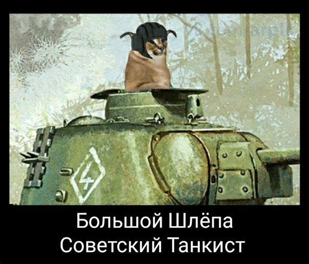 Шлёпа танкист Мем