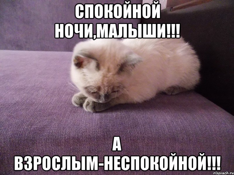 Спокойной ночи прикол