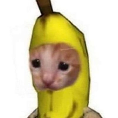 Плачущий кот в костюме банана
