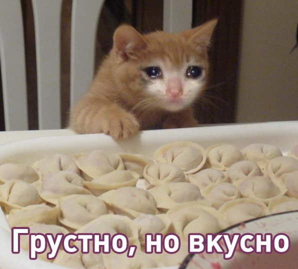 Грустно но вкусно кот