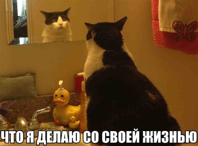 Зеркало «котик»