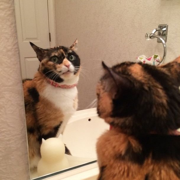 Зеркало «котик»