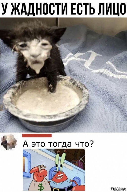 Кот в сметане