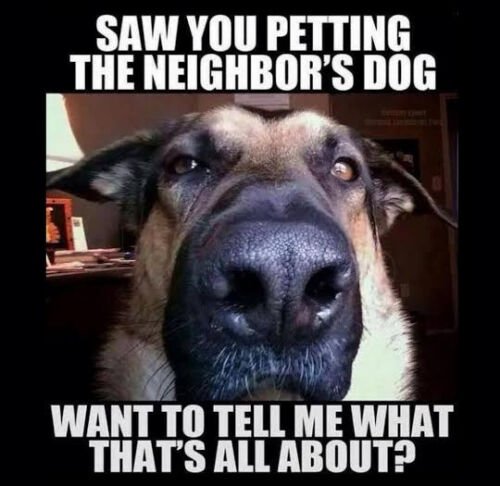 Анекдоты про собак