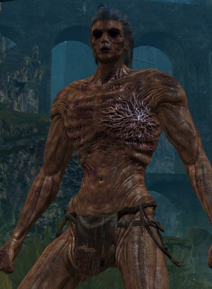 Dark Souls 2 главный герой полый