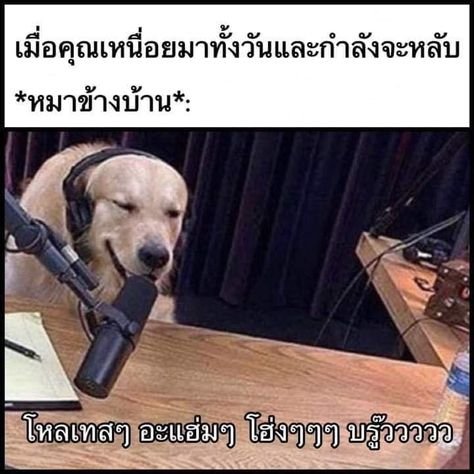 Гав Гав Мем