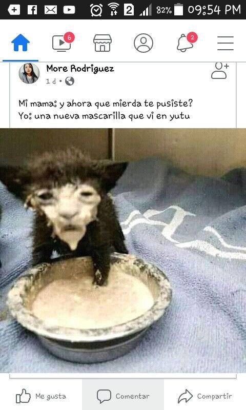 Смешной котенок в сметане