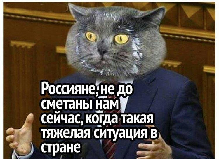 Не до сметаны