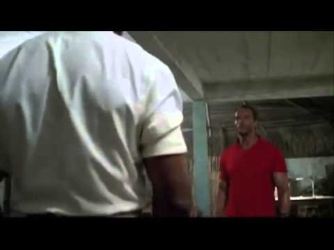 Лопнули рукава намфутболке фильм со Шварцнейгером