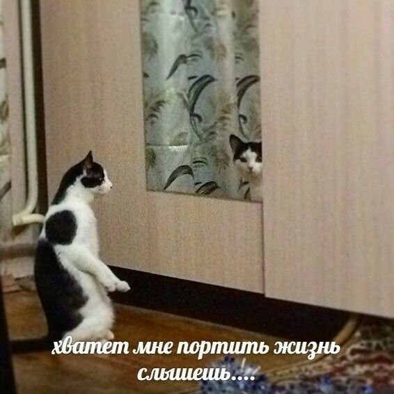 Хватит портить мне жизнь Мем
