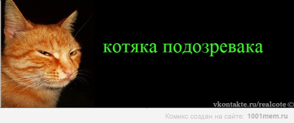 Кот подозревака