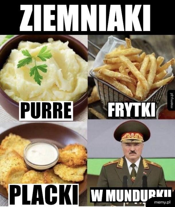 Поляки мемы