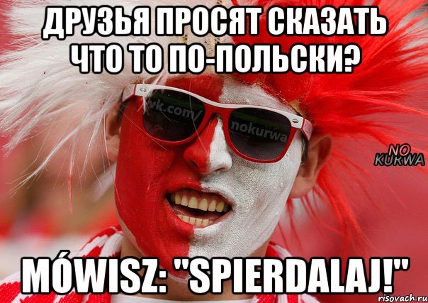 Поляки мемы