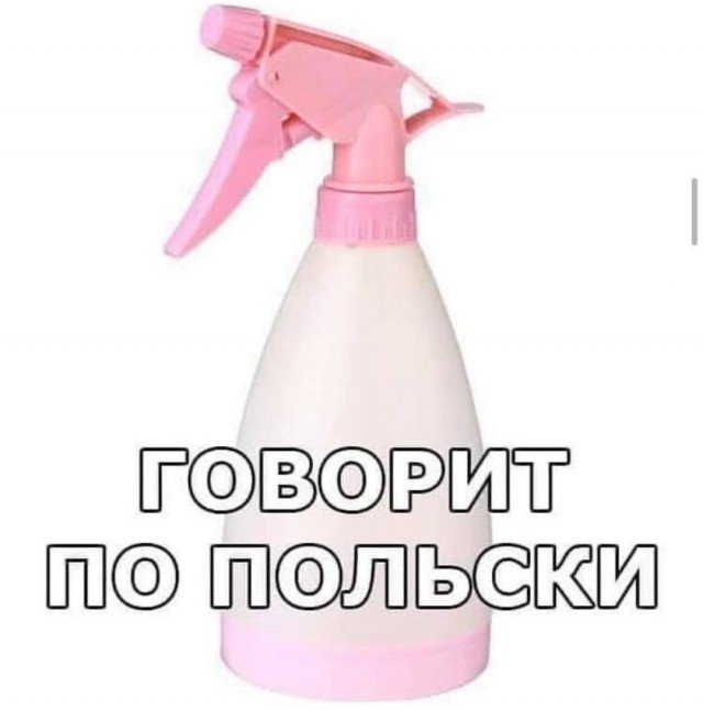 Говорит по польски Мем