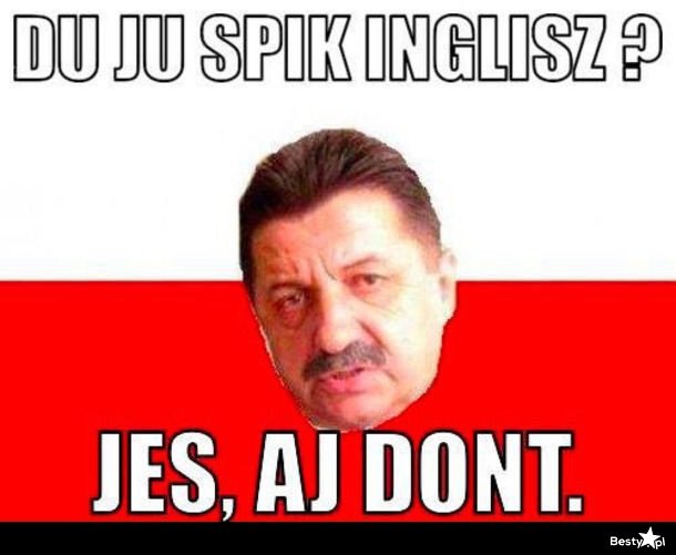 Поляки мемы