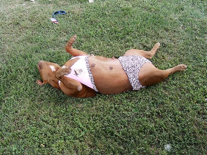 Прикольные купальники