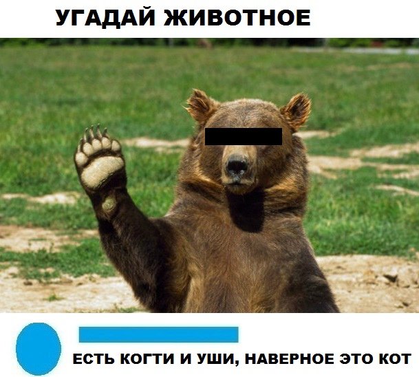 Мемы животные