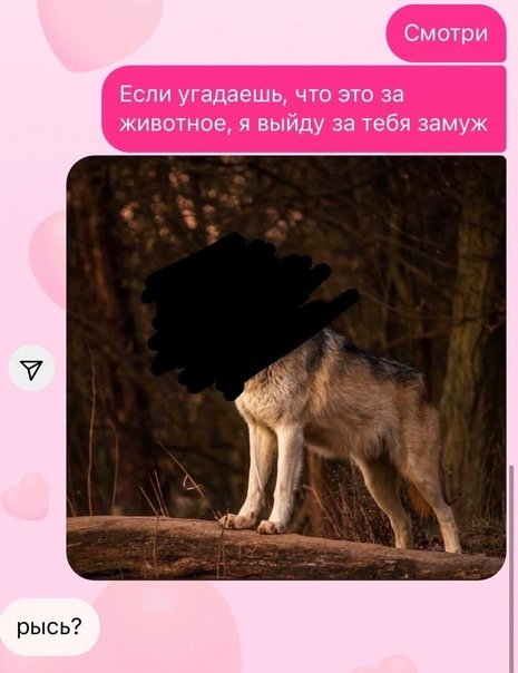 Если ОТГАДАЕШЬ животное то