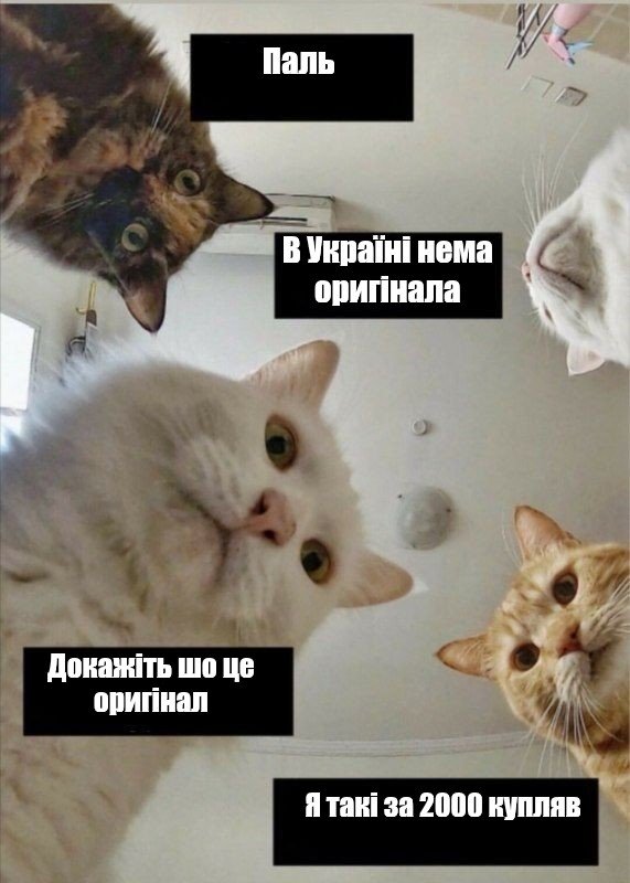 Девушка из сна