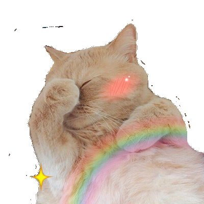 Пикчи котик смущается