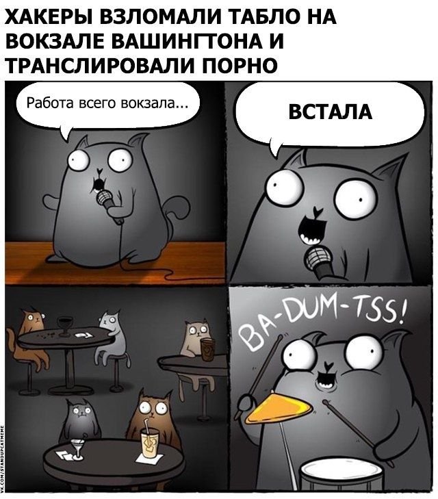 Кот бадум тсс