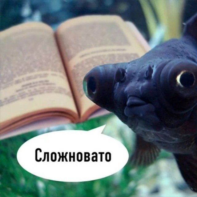 Не понимаю я рыба