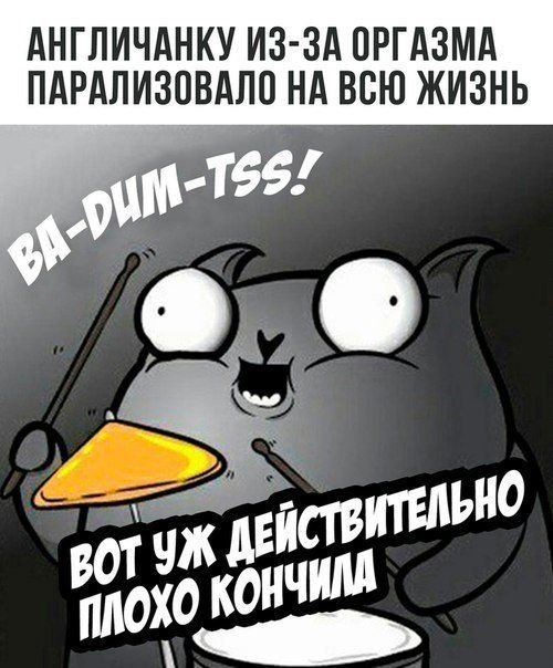 Ба дум ТСС кот